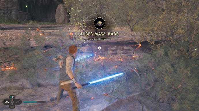 Star Wars Jedi Survivor screenshot showing Cal Kestis finding a seed pod and wielding dual blue lightsabers.